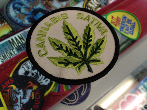 Cannabis Marijuana Patch
