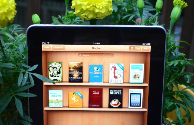 Ipad Books App Screen
