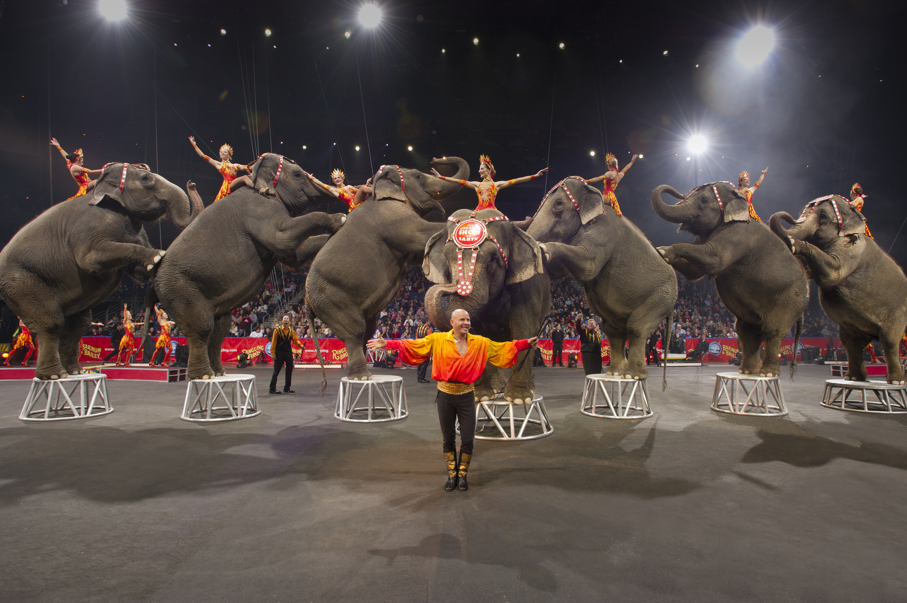 Ringling Brothers Circus Animals